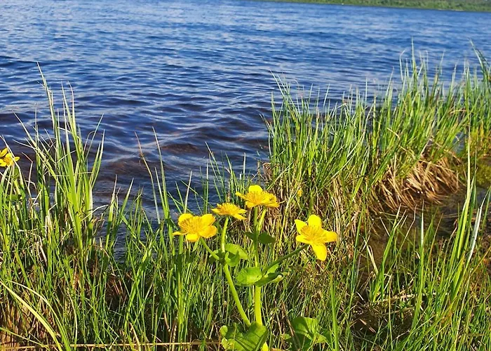 Apartament Uiton Kotirantasauna *